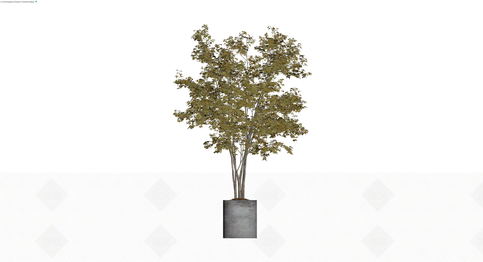 带盆秋季盆栽植物3D模型下载【ID:1229864461】