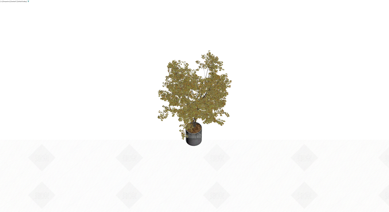 带盆秋季盆栽植物3D模型下载【ID:1229864461】