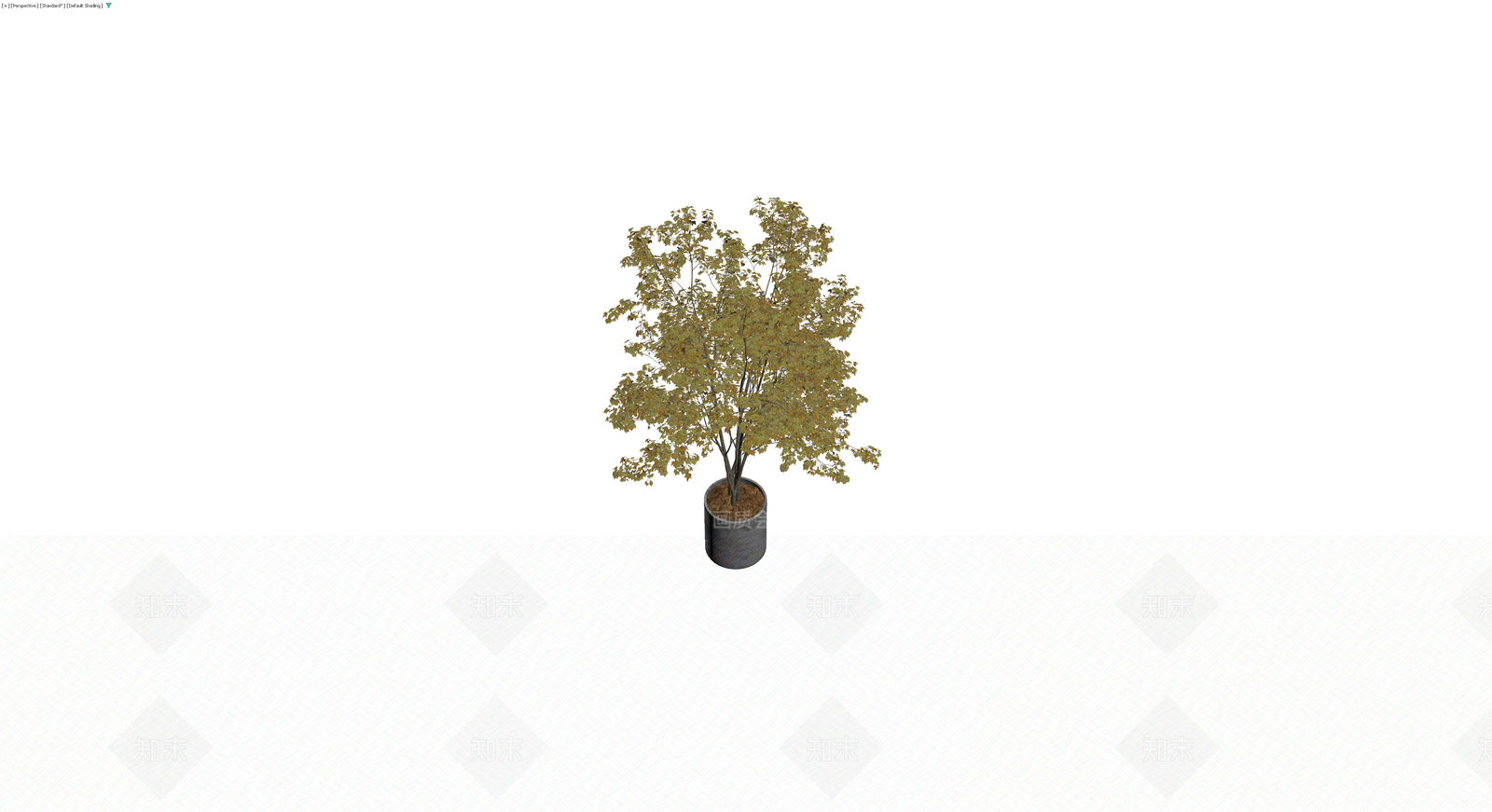 带盆秋季盆栽植物3D模型下载【ID:1229864461】