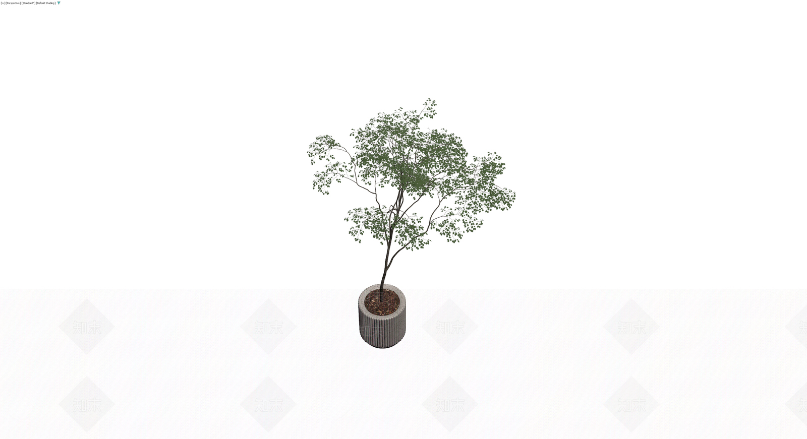 纹理盆栽绿植3D模型下载【ID:1230556088】