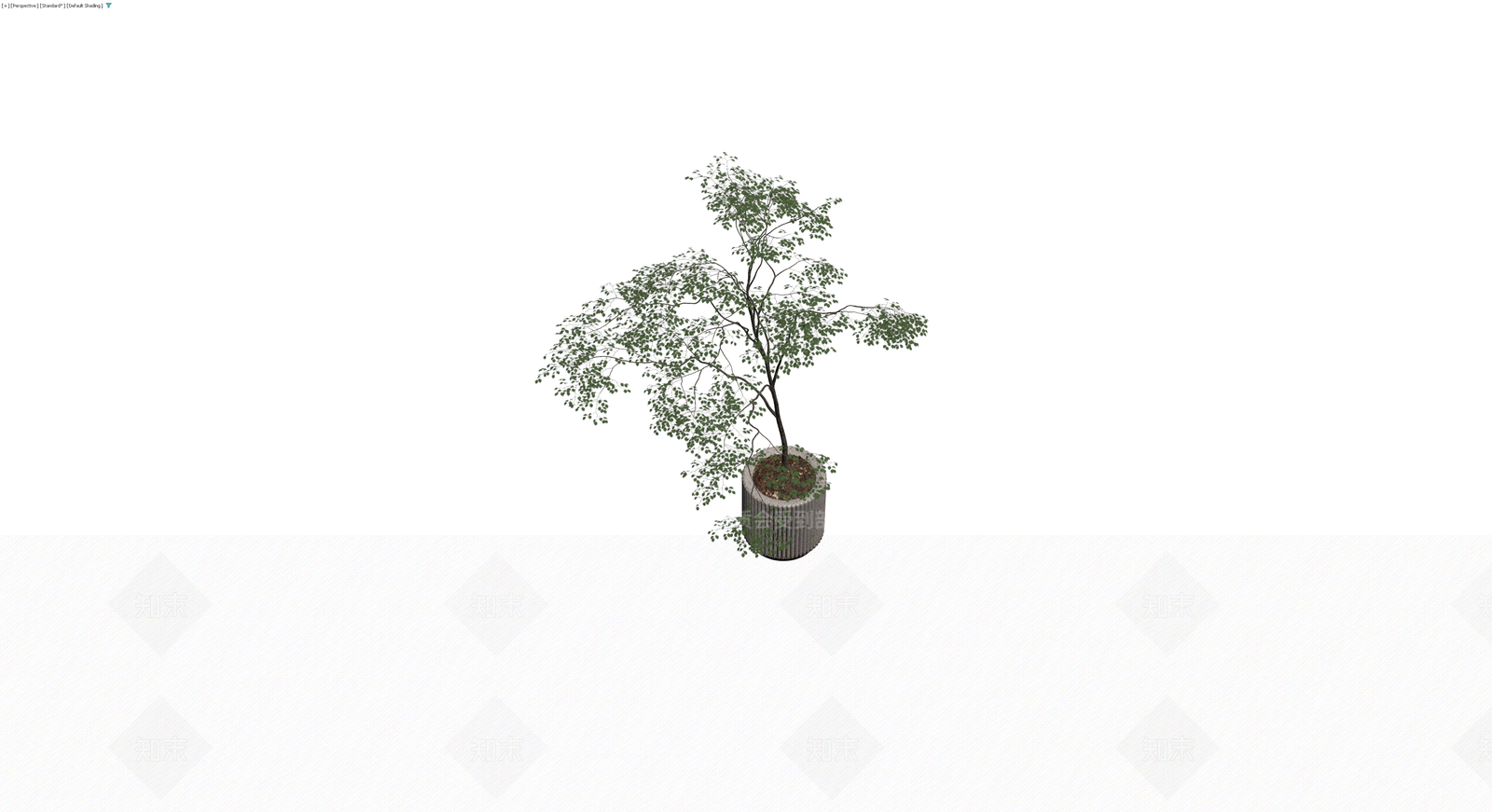 纹理盆栽绿植3D模型下载【ID:1230556088】