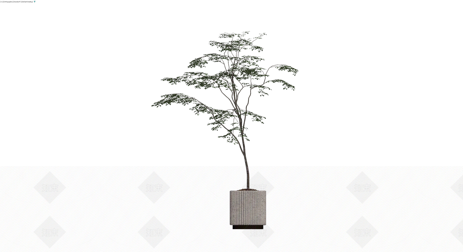 纹理盆栽绿植3D模型下载【ID:1230556088】