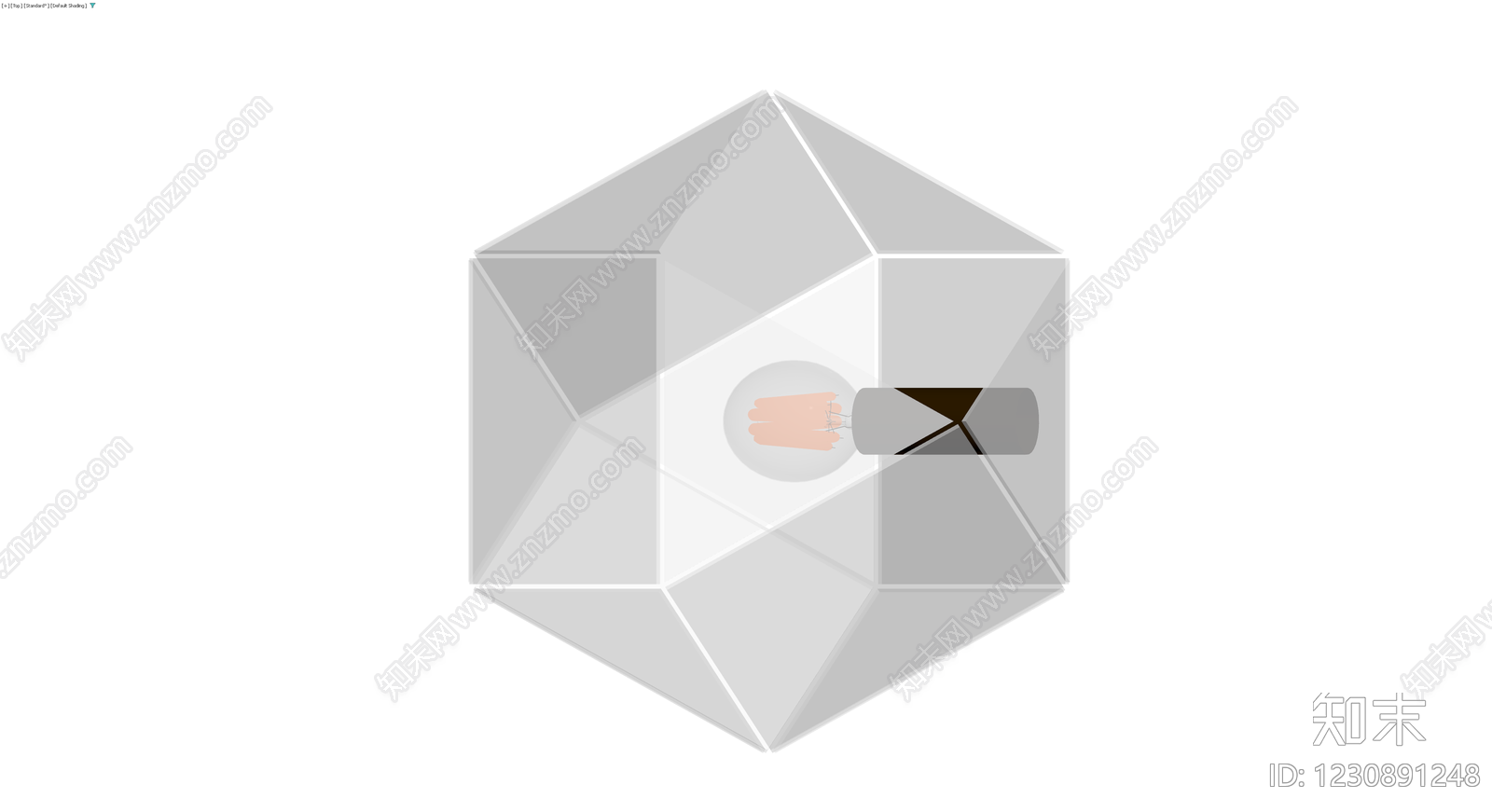 多面体玻璃罩装饰灯3D模型下载【ID:1230891248】