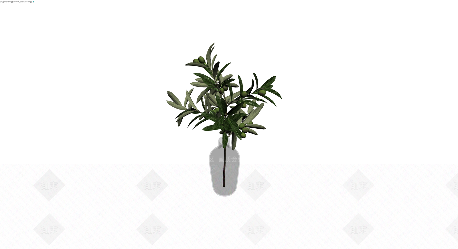 橄榄枝插瓶植物3D模型下载【ID:1229900563】