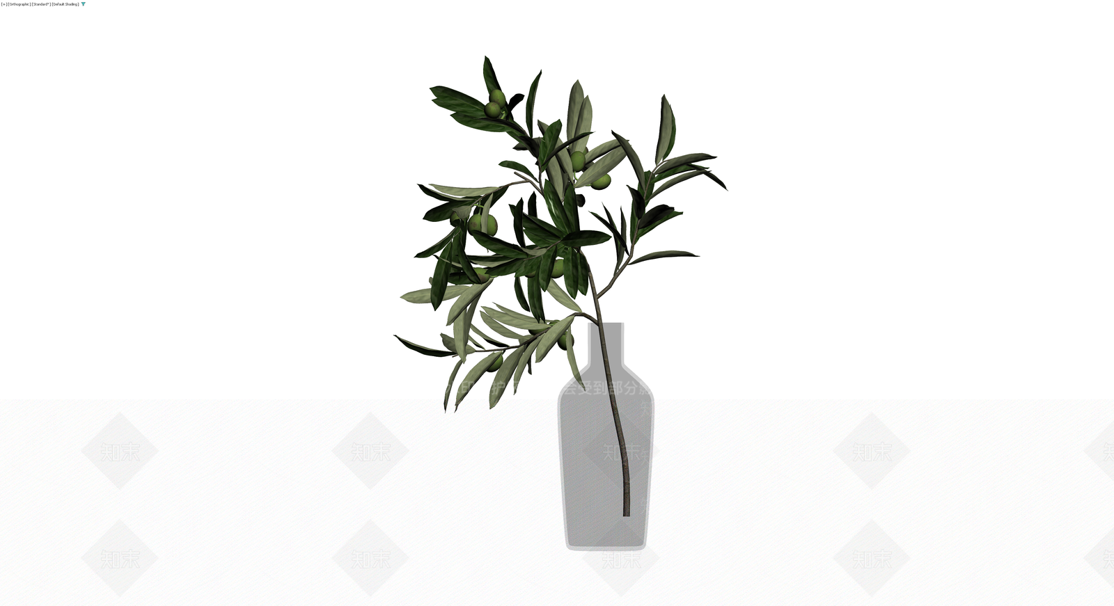 橄榄枝插瓶植物3D模型下载【ID:1229900563】