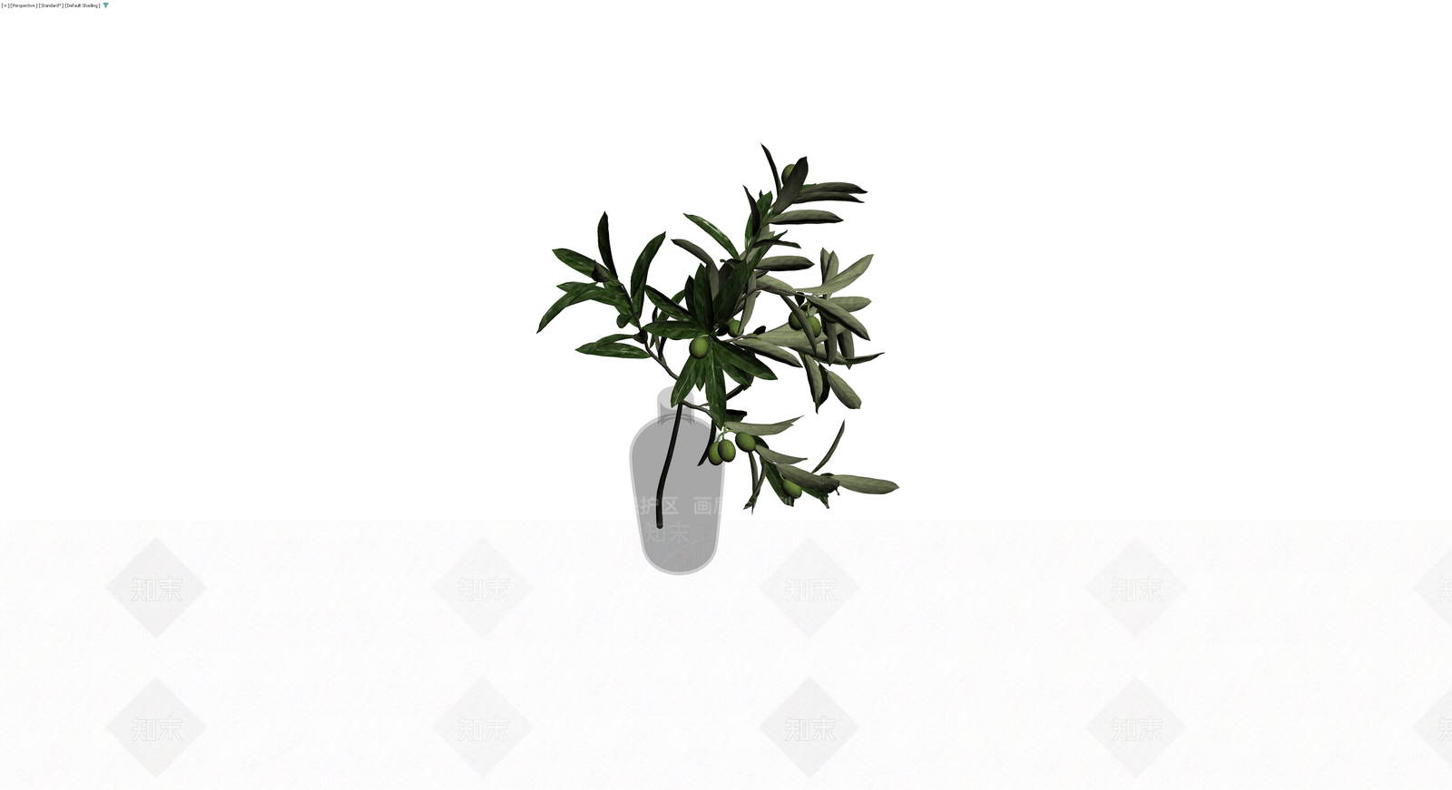 橄榄枝插瓶植物3D模型下载【ID:1229900563】