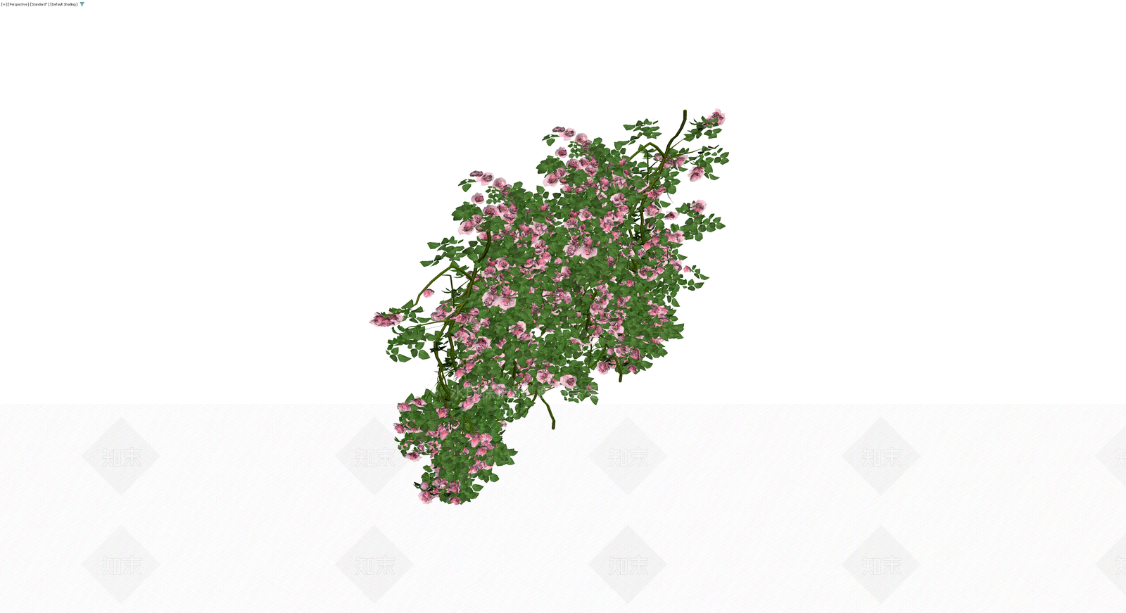 粉色蔷薇花灌木丛3D模型下载【ID:1229848576】