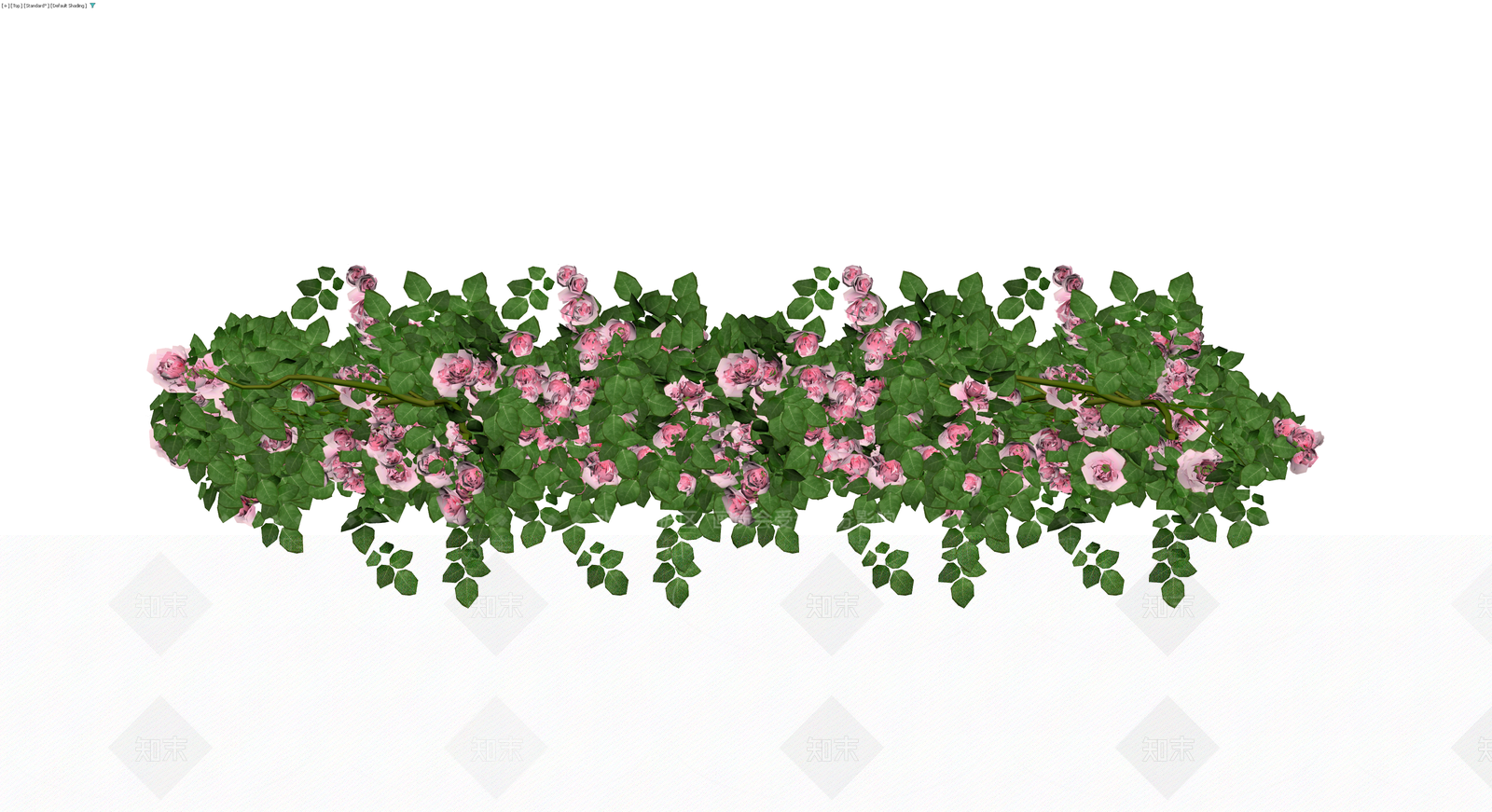 粉色蔷薇花灌木丛3D模型下载【ID:1229848576】