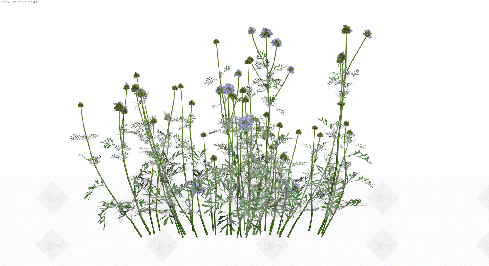 蓝紫色花草植物组合3D模型下载【ID:1229988552】