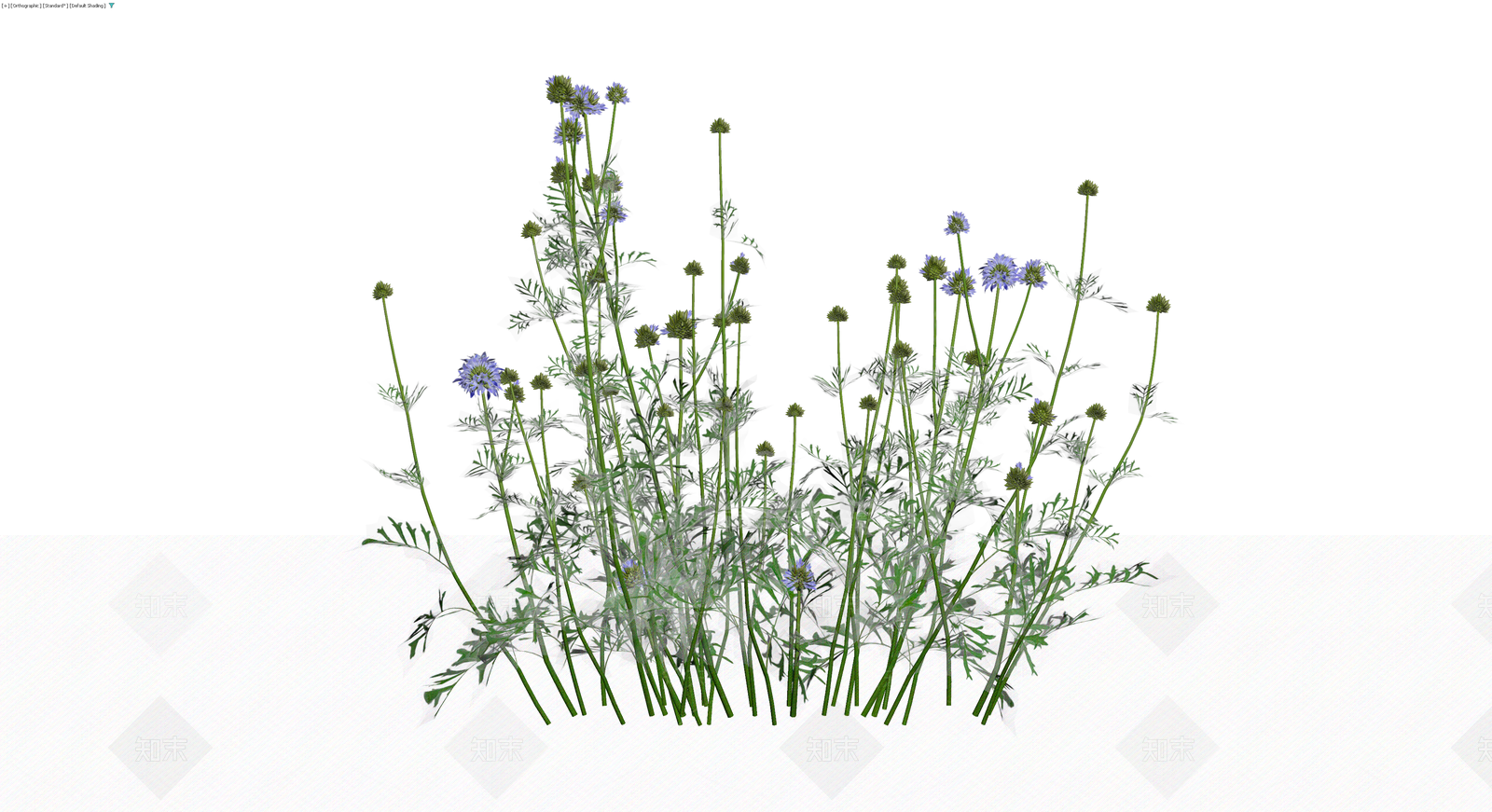 蓝紫色花草植物组合3D模型下载【ID:1229988552】