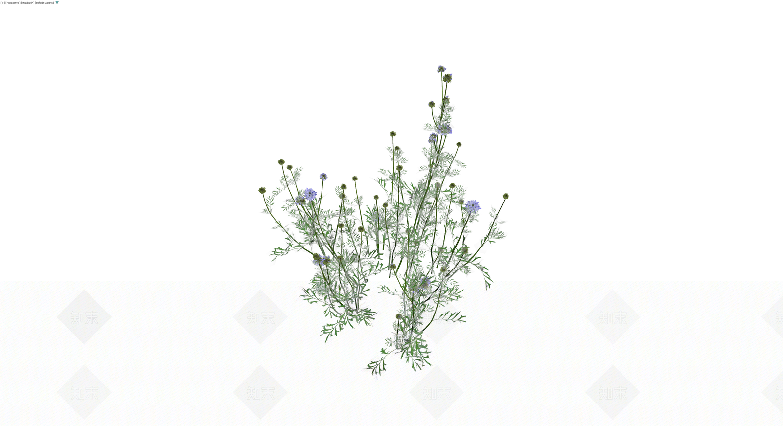 蓝紫色花草植物组合3D模型下载【ID:1229988552】