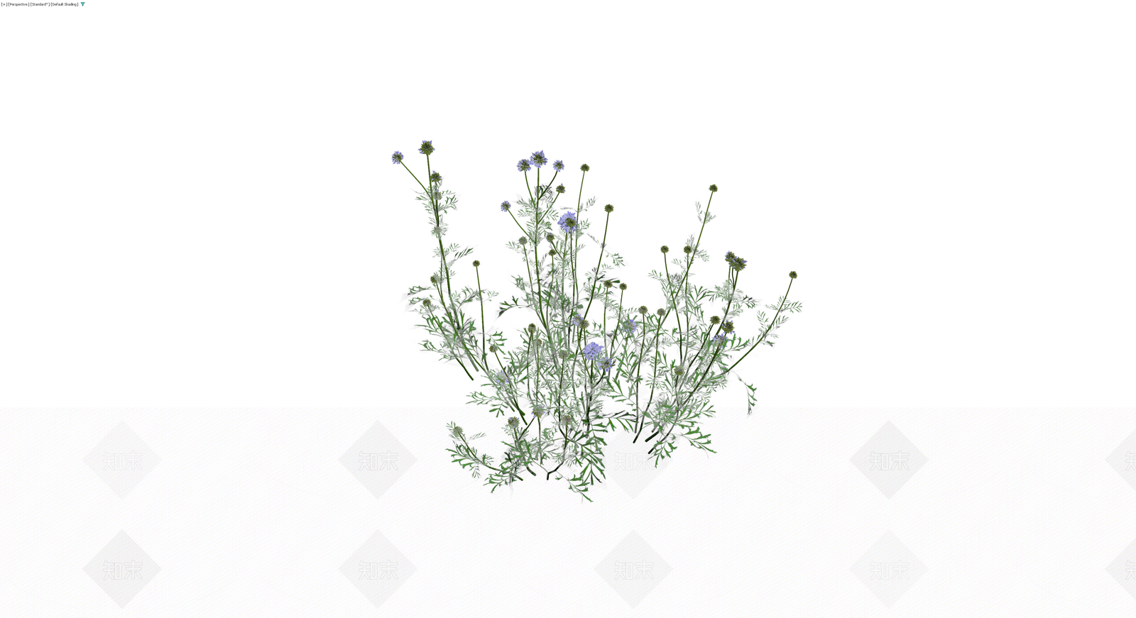 蓝紫色花草植物组合3D模型下载【ID:1229988552】