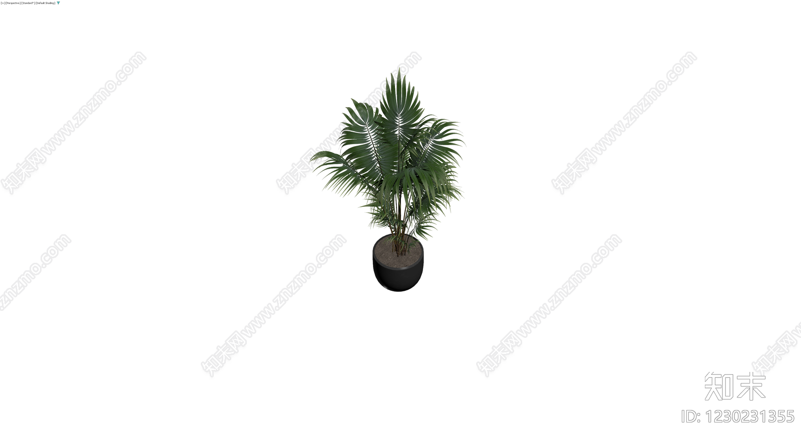 黑色花盆散尾葵盆栽3D模型下载【ID:1230231355】