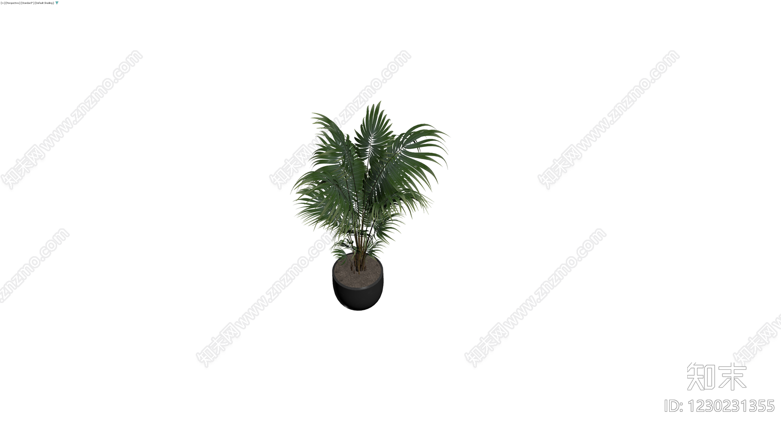 黑色花盆散尾葵盆栽3D模型下载【ID:1230231355】