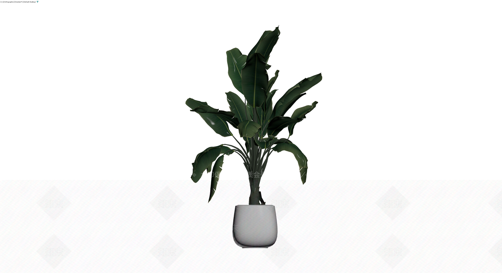 灰模盆栽植物3D模型下载【ID:1230141982】