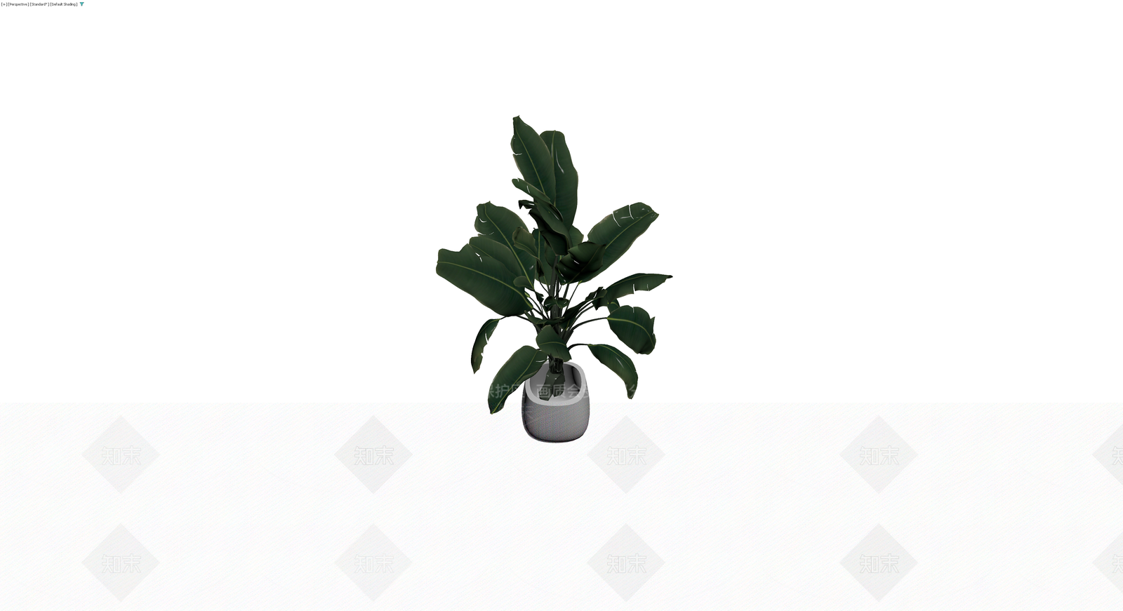灰模盆栽植物3D模型下载【ID:1230141982】