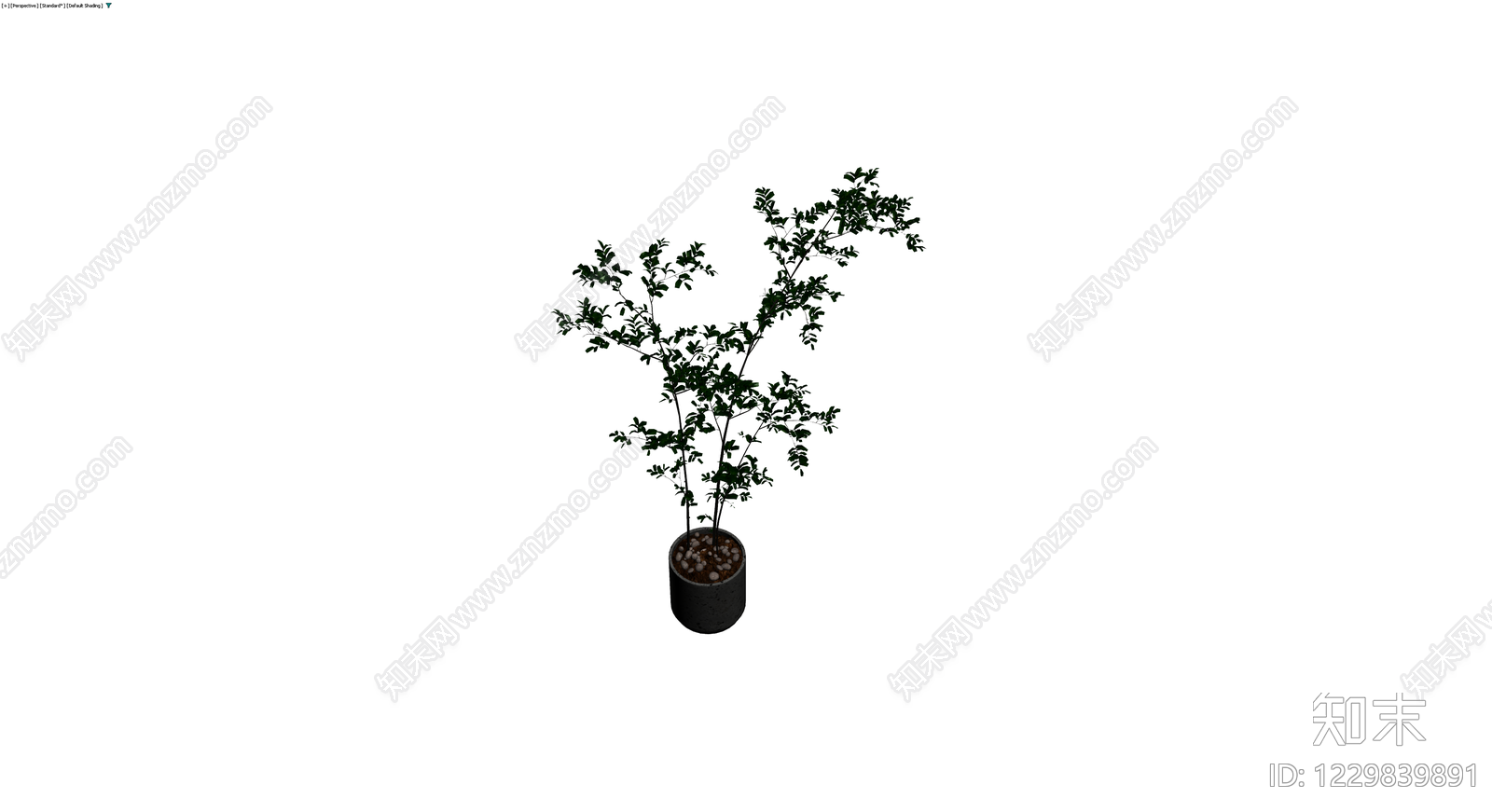 深色盆栽绿植模型3D模型下载【ID:1229839891】