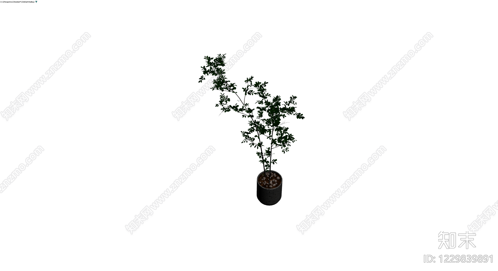 深色盆栽绿植模型3D模型下载【ID:1229839891】