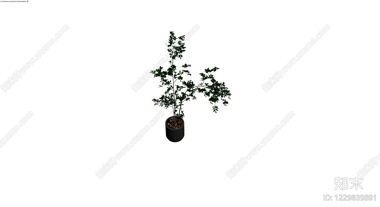 深色盆栽绿植模型3D模型下载【ID:1229839891】