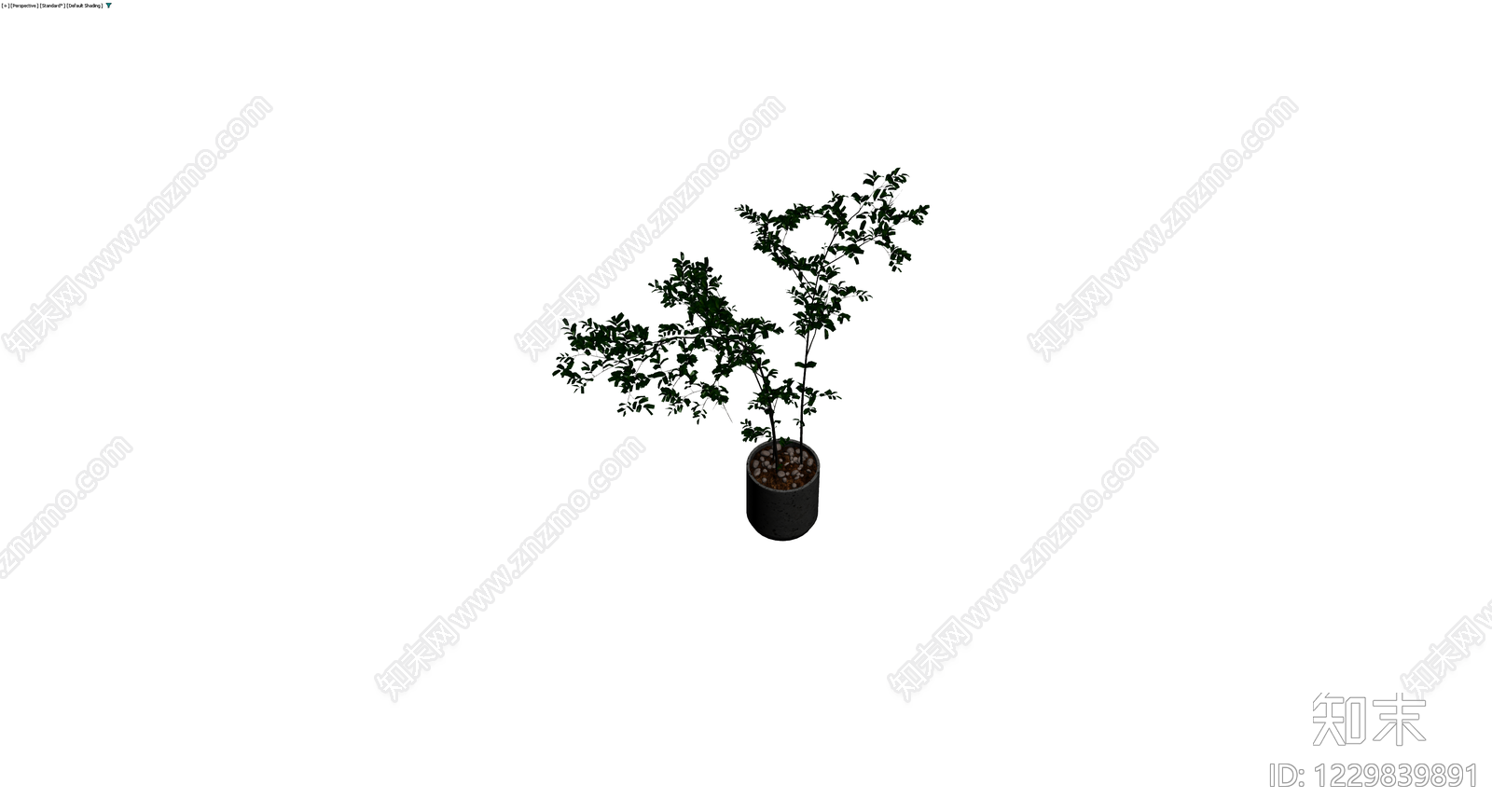 深色盆栽绿植模型3D模型下载【ID:1229839891】