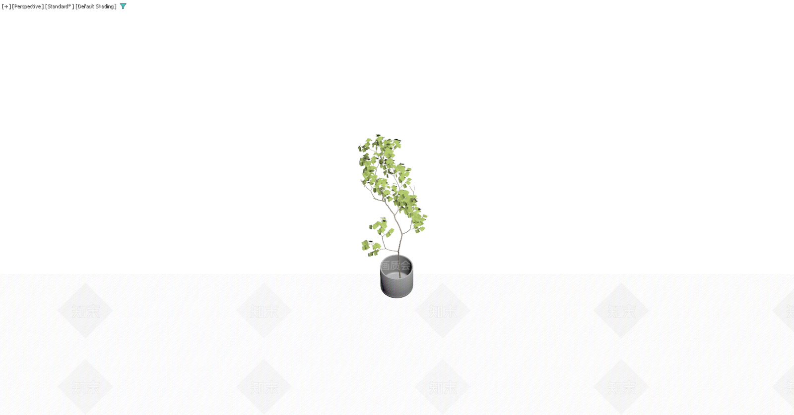 盆栽植物带盆3D模型下载【ID:1229582592】