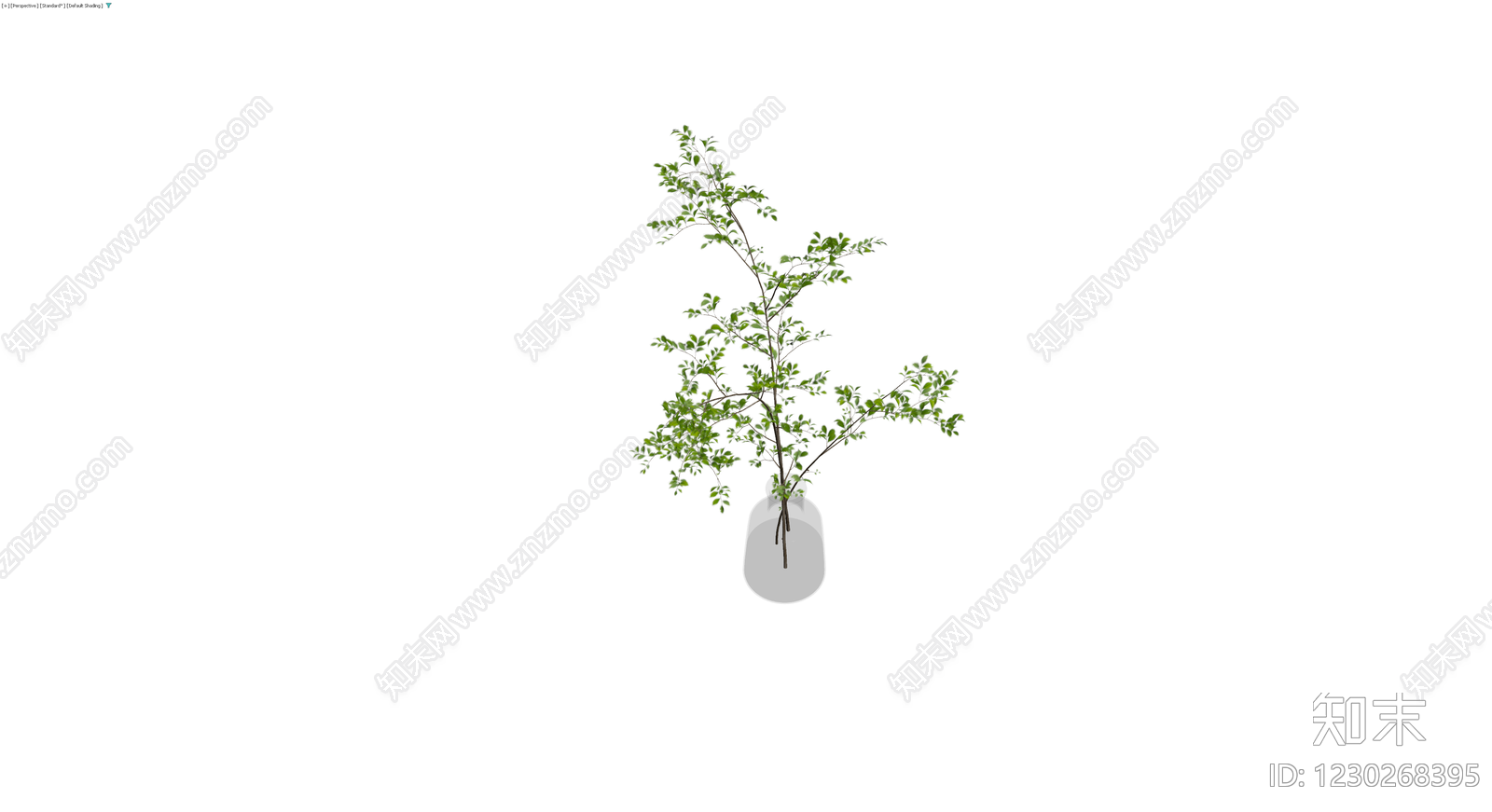 绿植枝条盆栽3D模型下载【ID:1230268395】