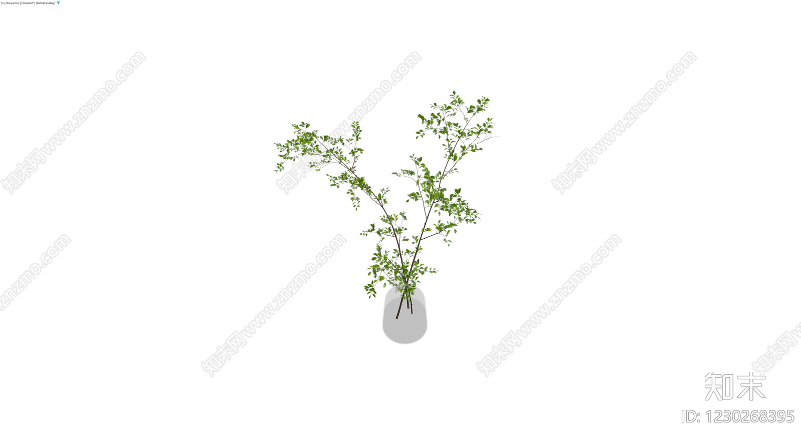 绿植枝条盆栽3D模型下载【ID:1230268395】