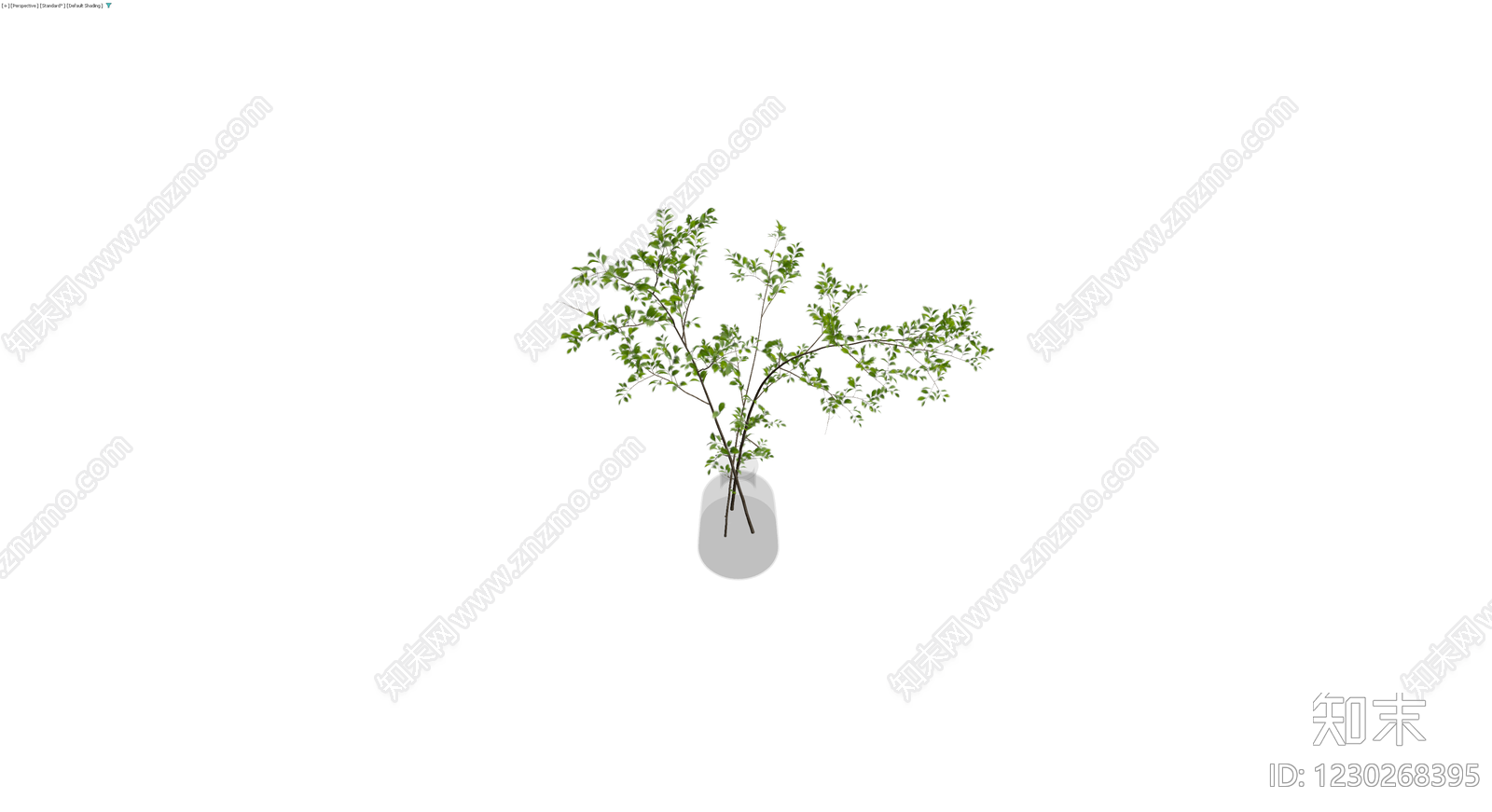绿植枝条盆栽3D模型下载【ID:1230268395】