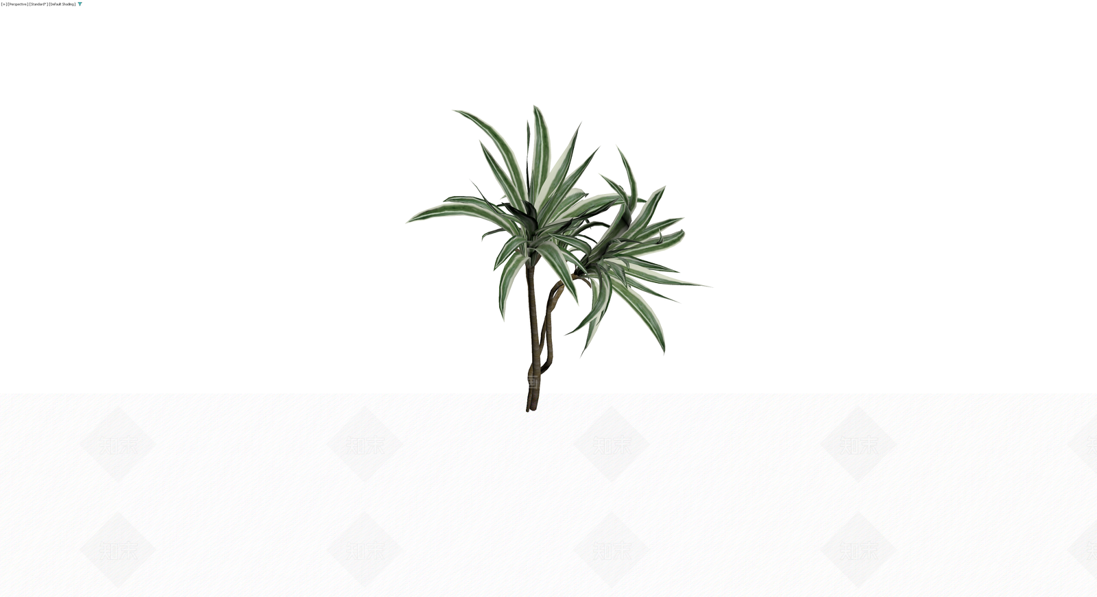 龙血树盆栽植物3D模型下载【ID:1230167181】