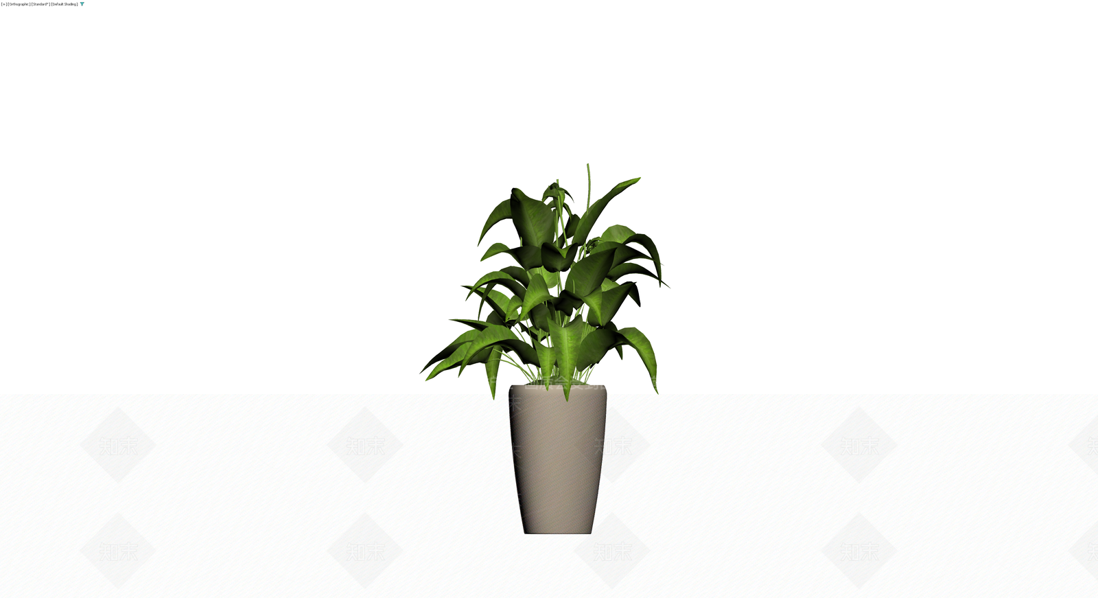 灰模室内盆栽植物3D模型下载【ID:1229649495】