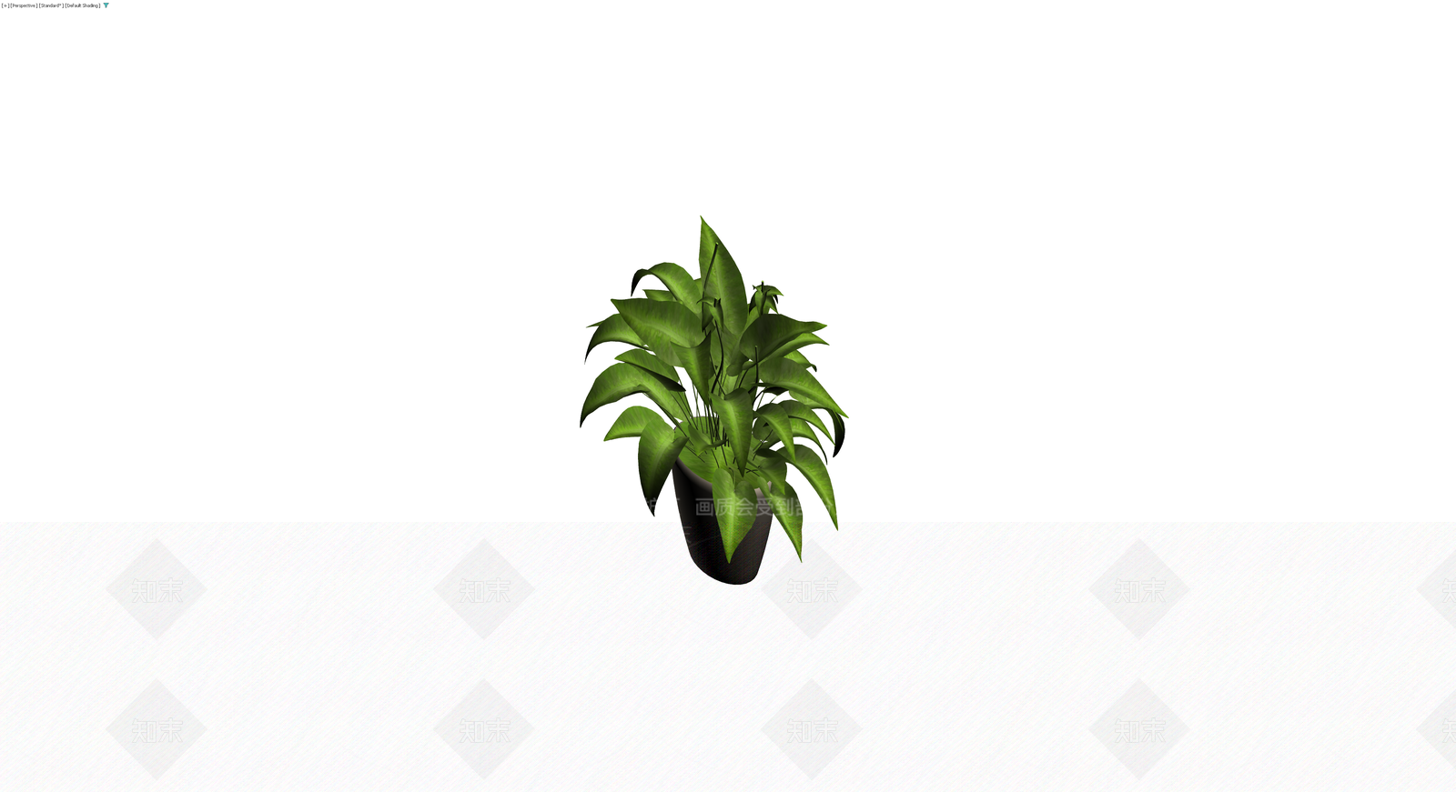 灰模室内盆栽植物3D模型下载【ID:1229649495】