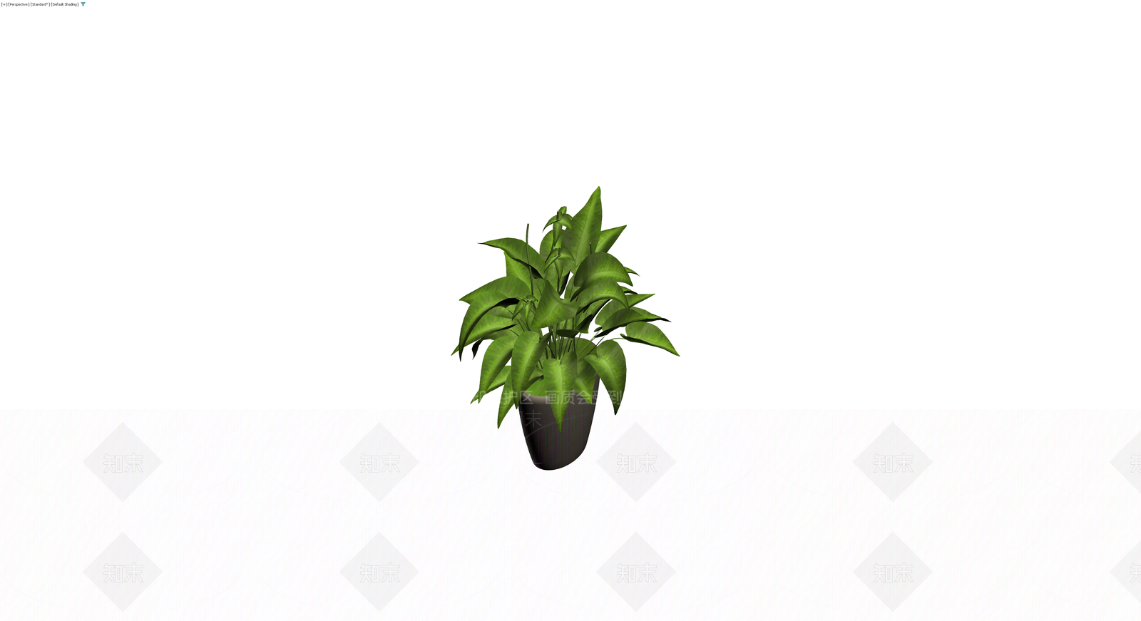 灰模室内盆栽植物3D模型下载【ID:1229649495】