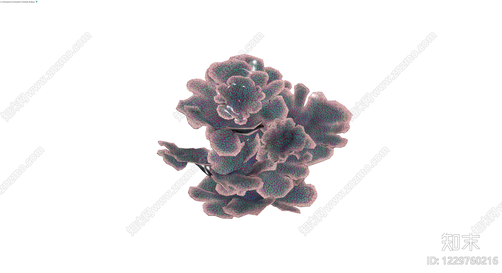 紫绿纹理珊瑚模型3D模型下载【ID:1229760216】