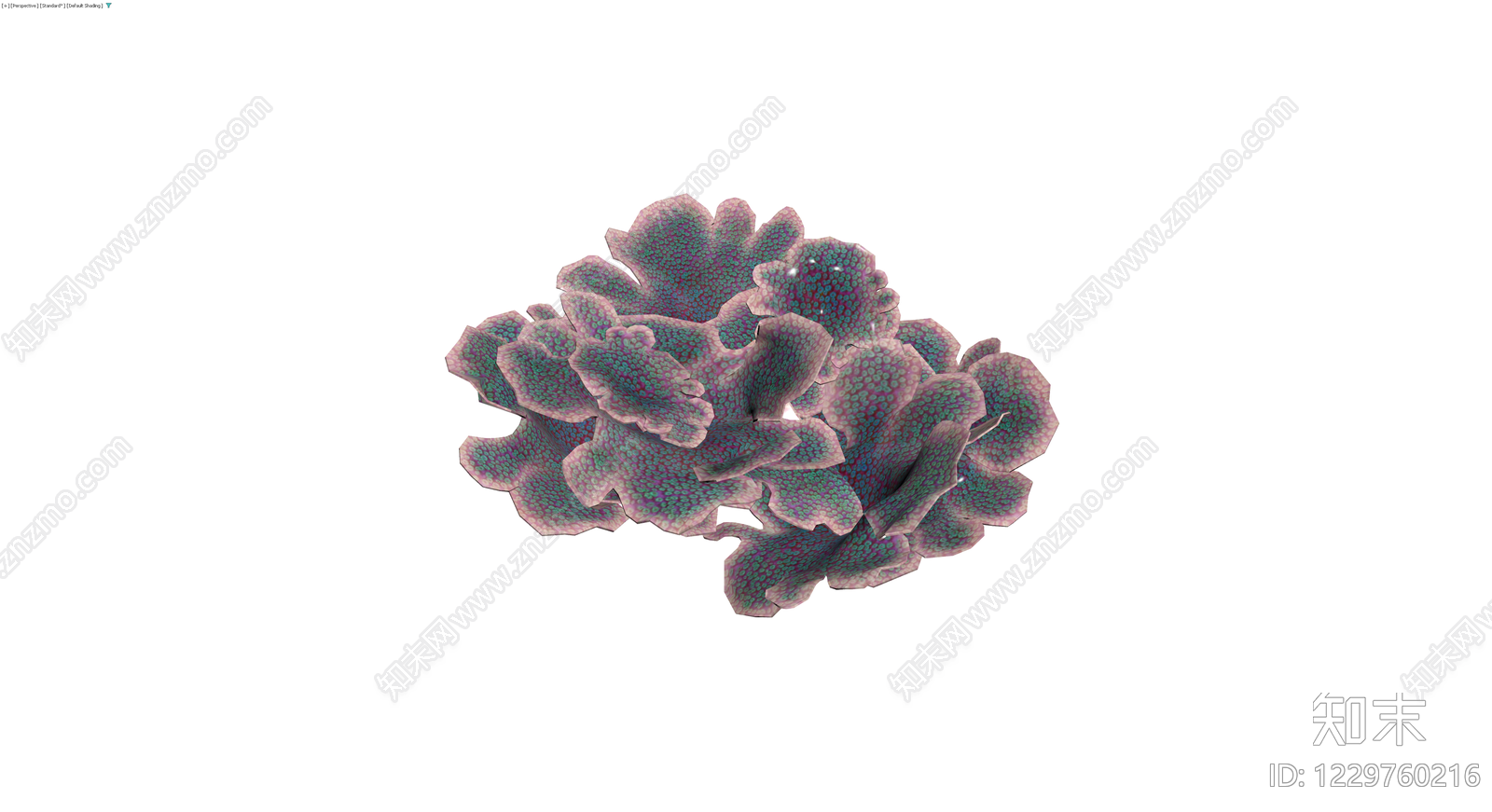 紫绿纹理珊瑚模型3D模型下载【ID:1229760216】