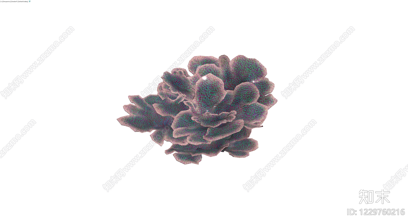 紫绿纹理珊瑚模型3D模型下载【ID:1229760216】