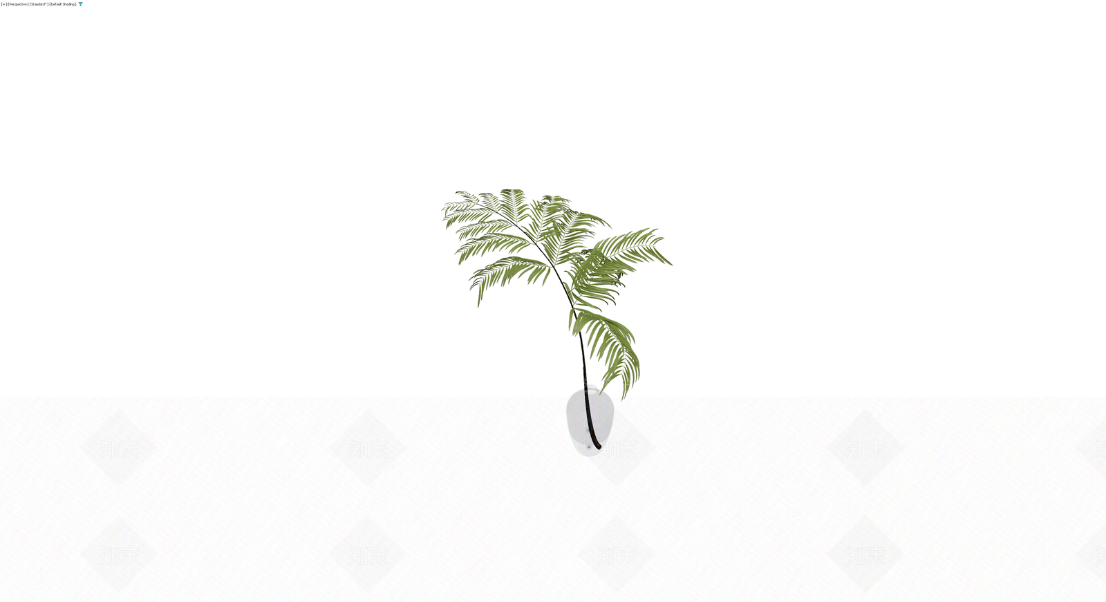 盆栽植物模型3D模型下载【ID:1230753237】