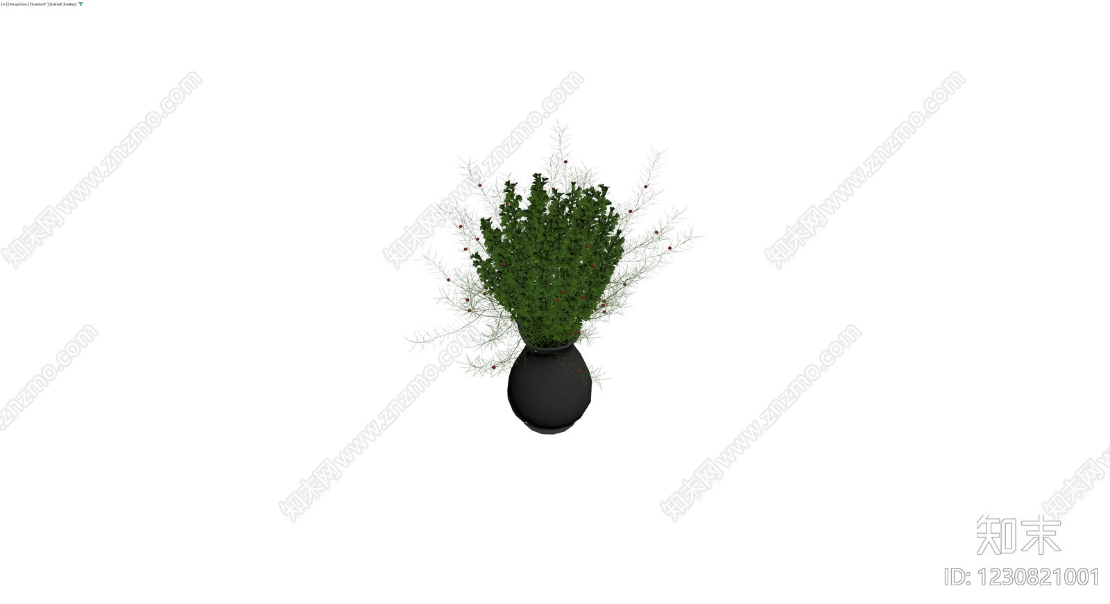 黑色花瓶绿植组合3D模型下载【ID:1230821001】