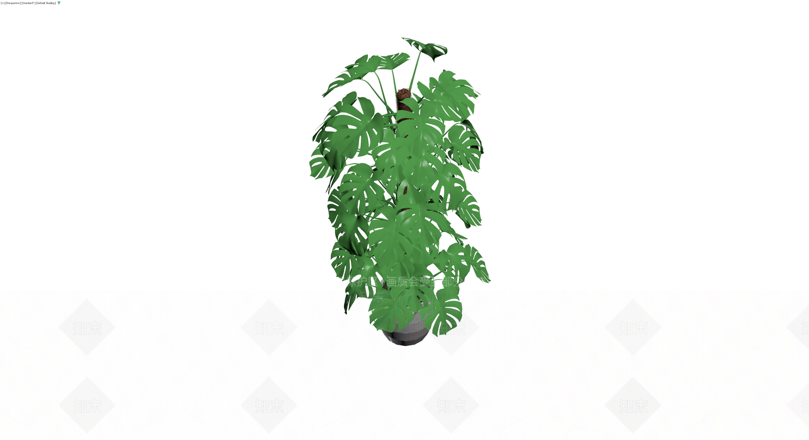 龟背竹盆栽模型3D模型下载【ID:1230791131】