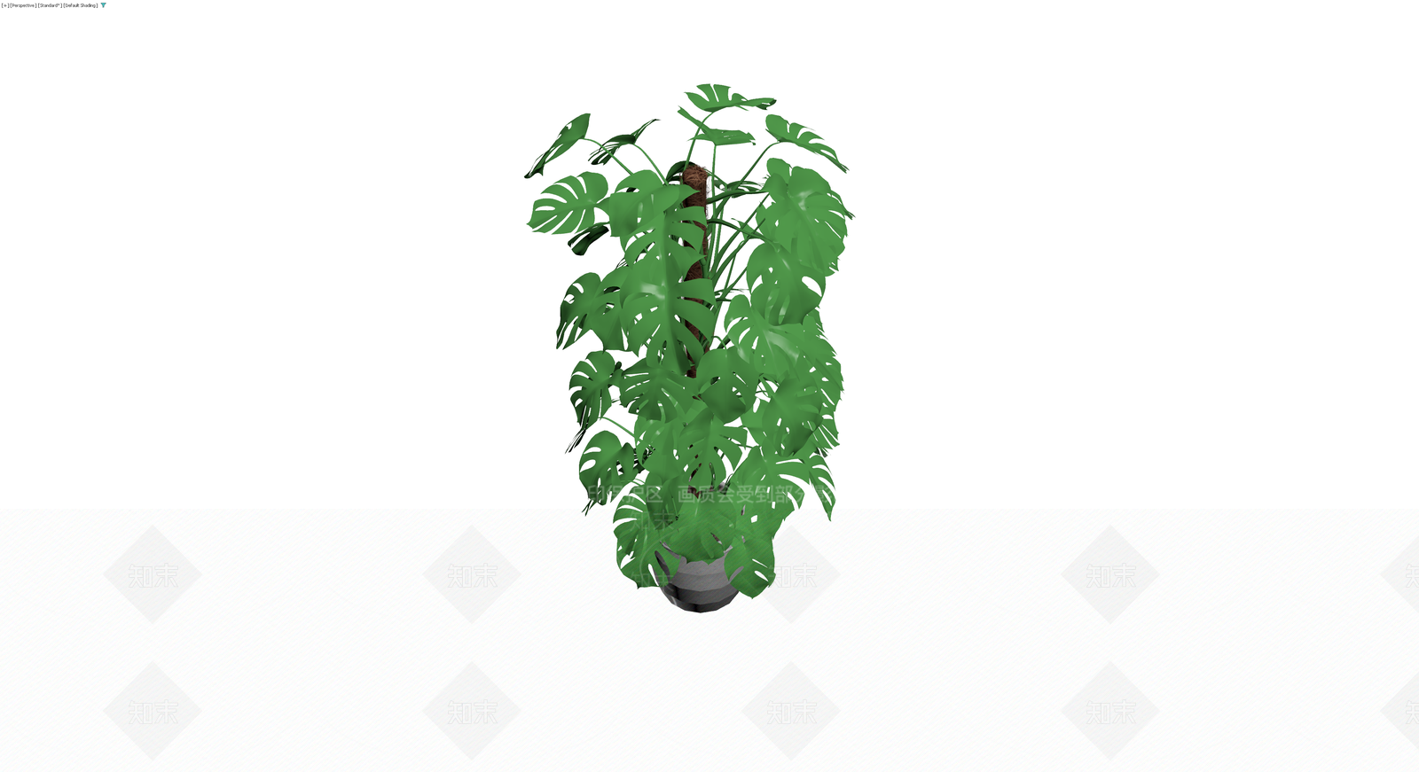 龟背竹盆栽模型3D模型下载【ID:1230791131】