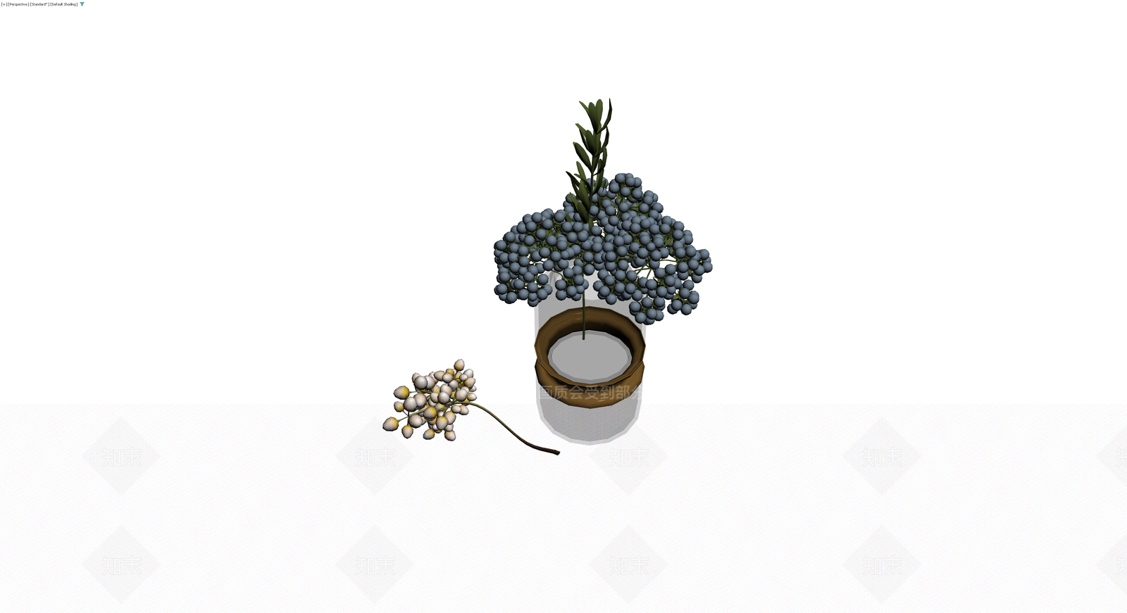 带盆蓝浆果植物模型3D模型下载【ID:1229677408】