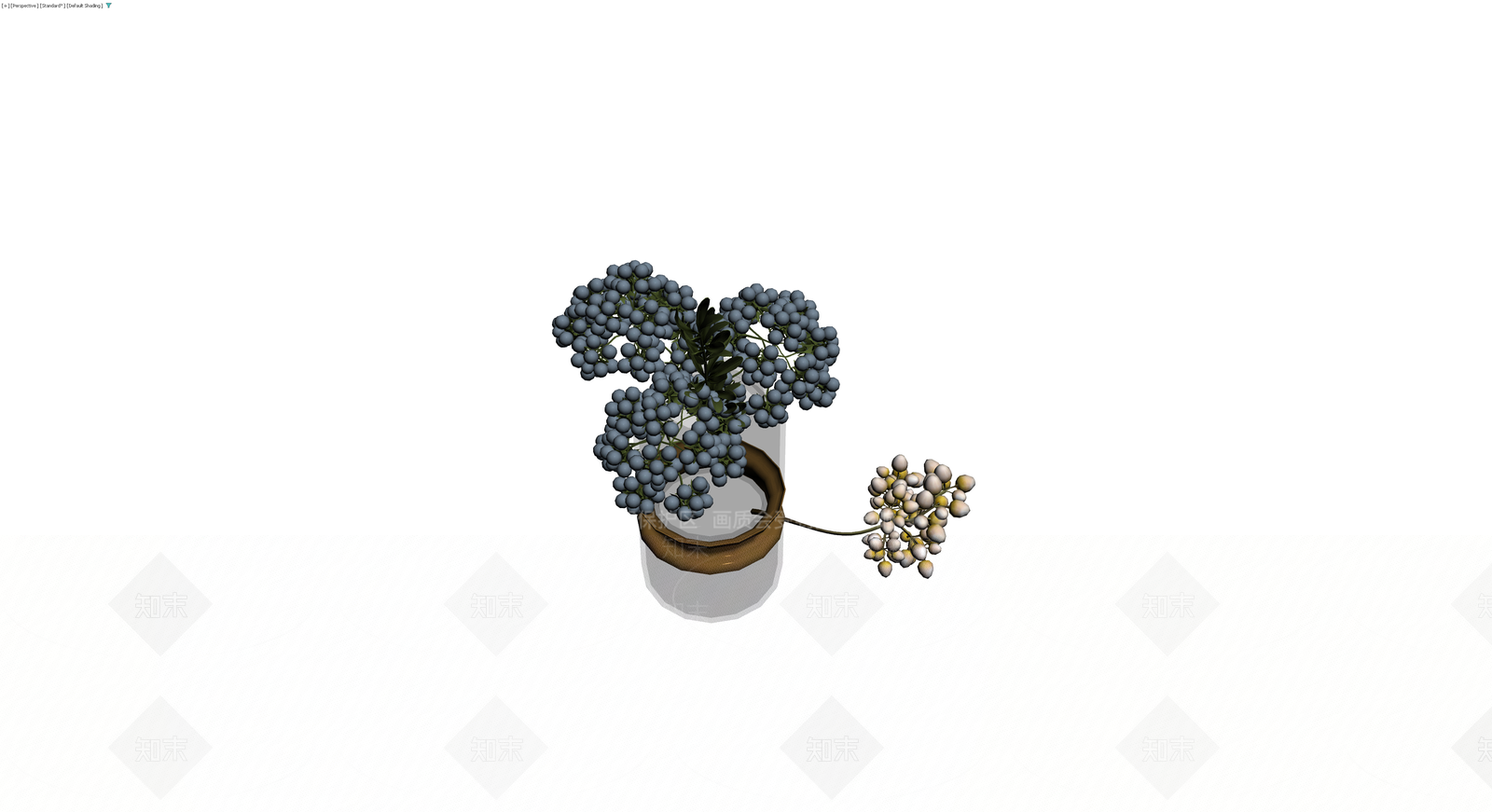 带盆蓝浆果植物模型3D模型下载【ID:1229677408】
