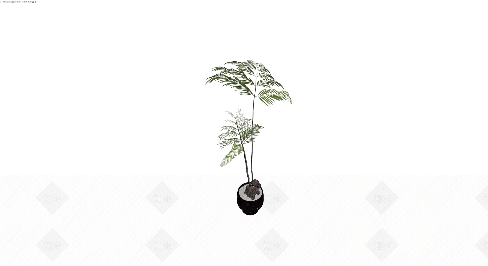 黑盆绿植盆栽模型3D模型下载【ID:1230735391】