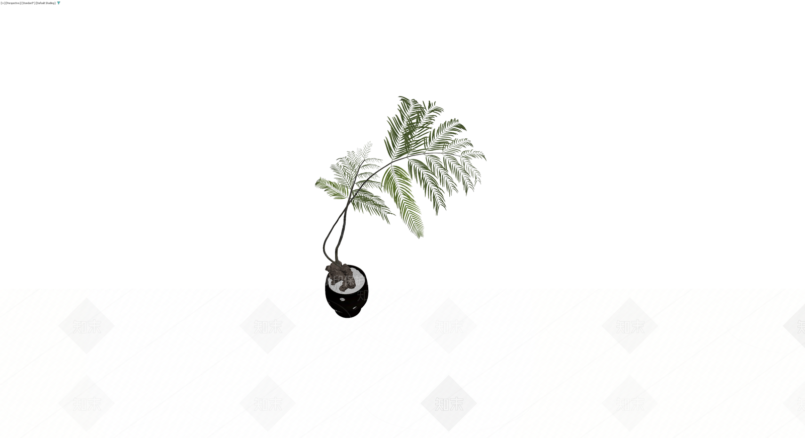 黑盆绿植盆栽模型3D模型下载【ID:1230735391】