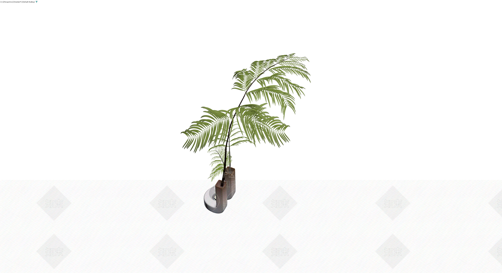 盆栽植物组合3D模型下载【ID:1229947636】