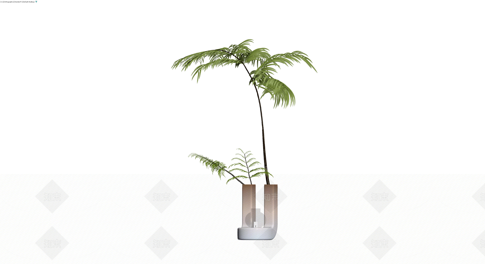 盆栽植物组合3D模型下载【ID:1229947636】