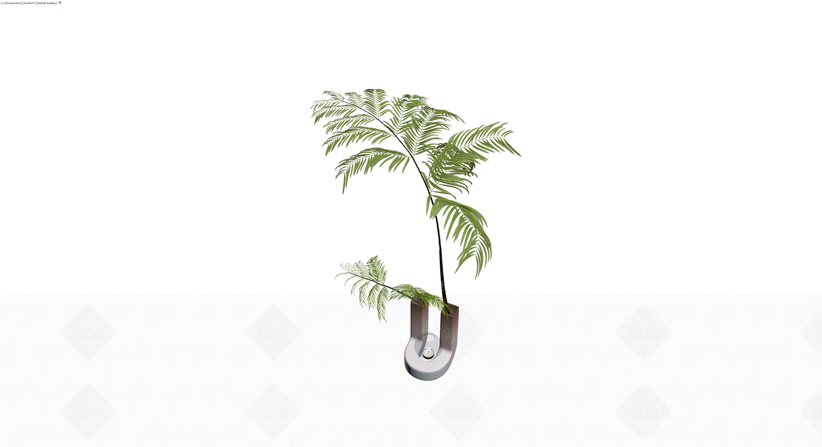 盆栽植物组合3D模型下载【ID:1229947636】