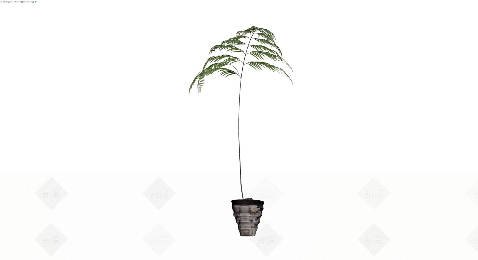 盆栽蕨类植物模型3D模型下载【ID:1230681007】