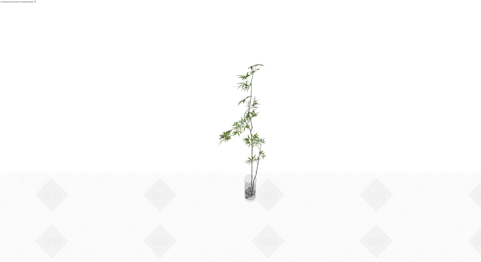 透明花瓶竹枝盆栽3D模型下载【ID:1230334267】