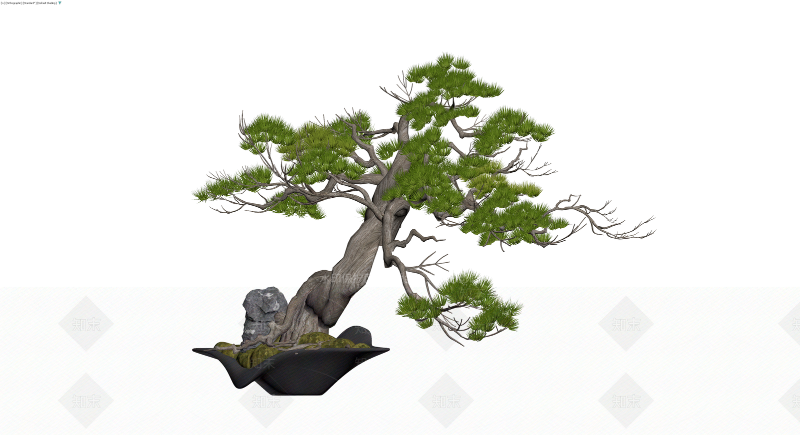 盆景松树带盆石3D模型下载【ID:1230353025】