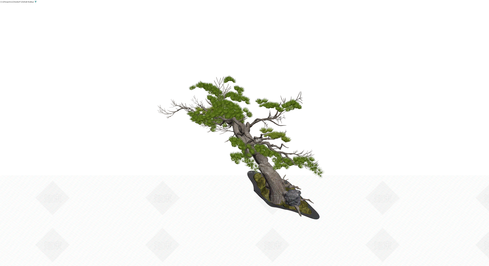 盆景松树带盆石3D模型下载【ID:1230353025】